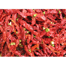 2014 nuevos pimientos rojos secados al cultivo